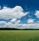 Spotkanie parlamentarzystów z rolnikami